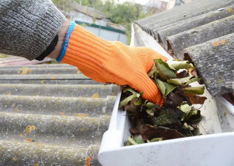 Gutter Repair and Installation